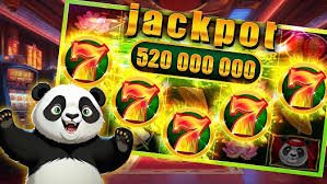 23win007